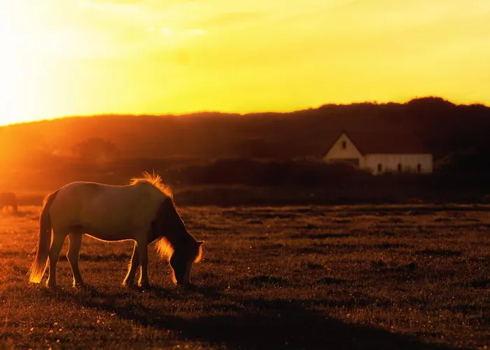 Апартаменты Waterkant 1